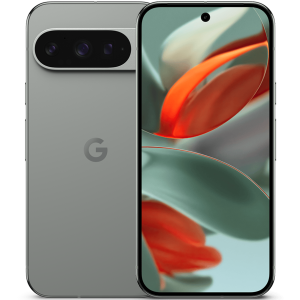 Google Pixel 9 Pro 5G 256GB/16GB – Hassel